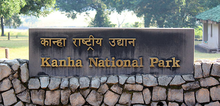 Biggest National Park in India, List of Top 10_150.1