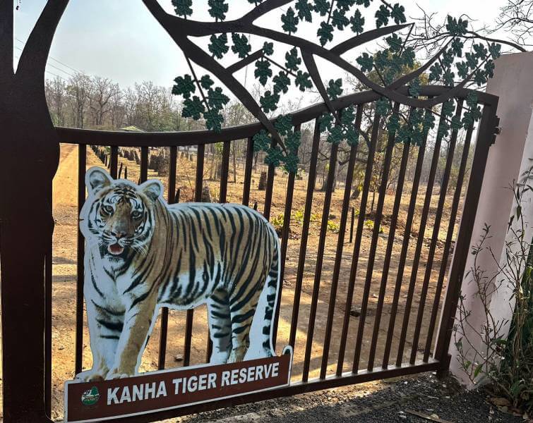 Kanha Tiger Reserve Madhya Pradesh
