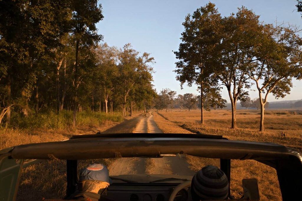 Kanha National Park Safari