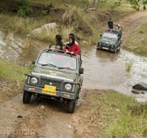 Jungle Jeep Safari