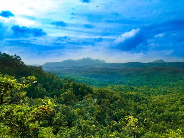 Beauty of Madhya Pradesh