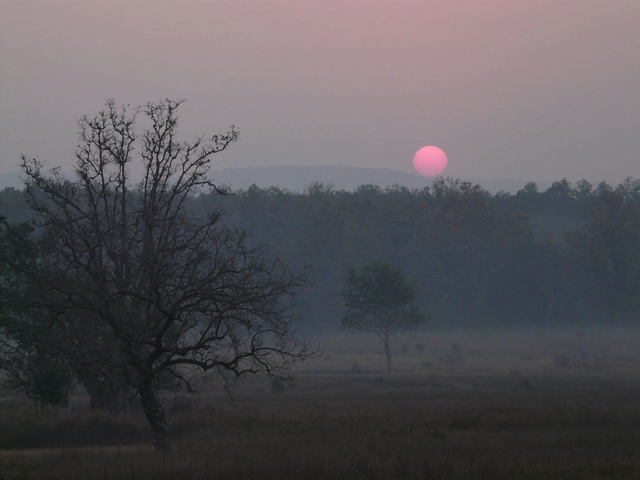 How to Reach Kanha