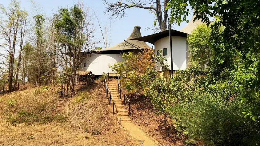Banjaar Tola, A Taj Safari