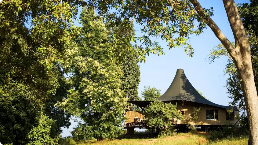 Banjaar Tola, A Taj Safari
