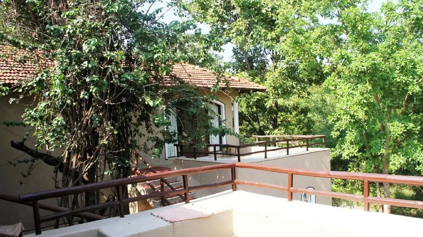 Chitvan Jungle Lodge