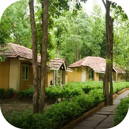 Hotel Kanha Resort