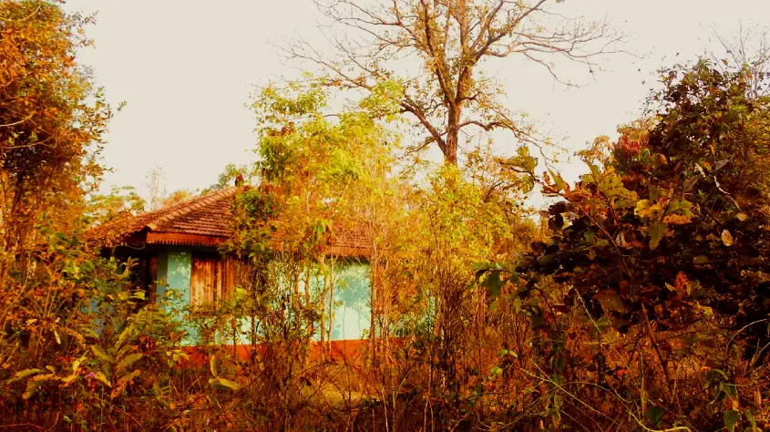 Infinity Resort Kanha