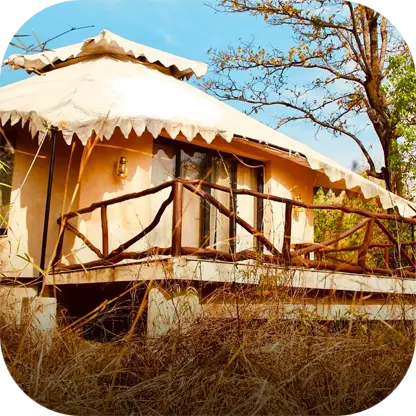 Infinity Resort Kanha