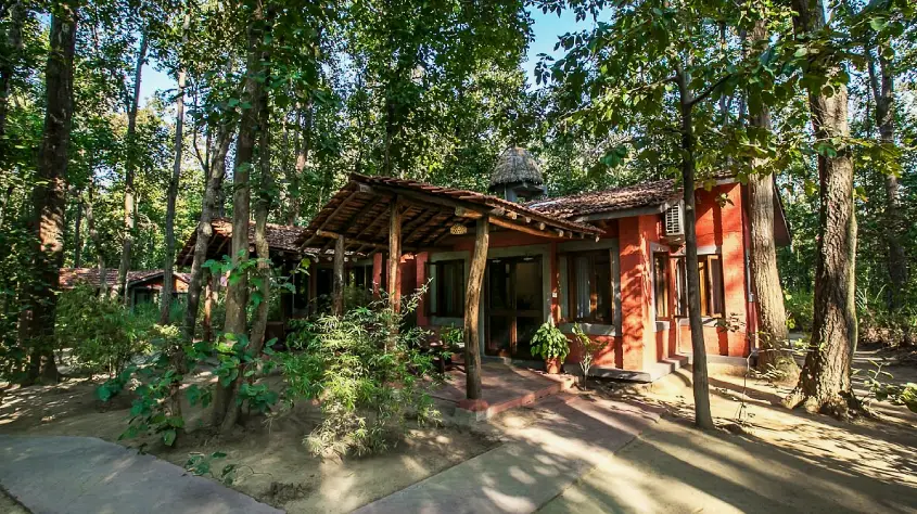 Kanha Jungle Lodge