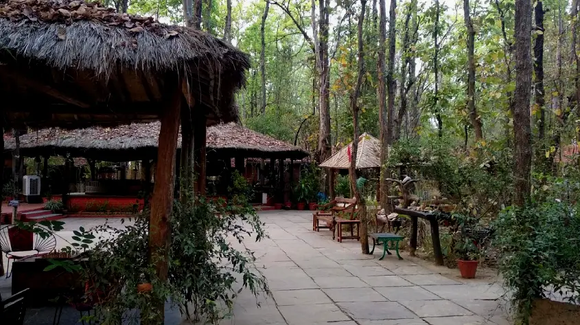 Kanha Jungle Lodge