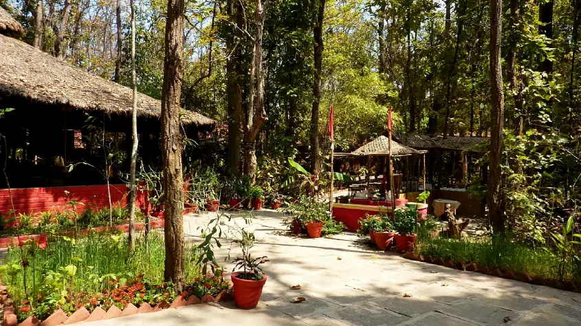 Kanha Jungle Lodge