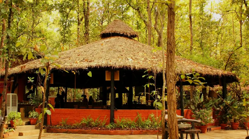 Kanha Jungle Lodge