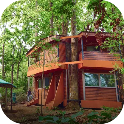 Kanha Meadow Retreat