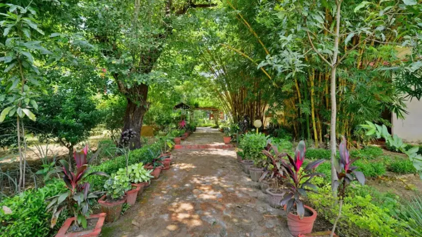 Kanha Meadows Retreat