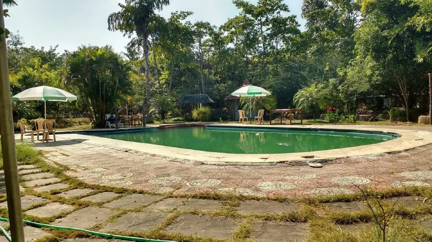 Mogli Resort Kanha