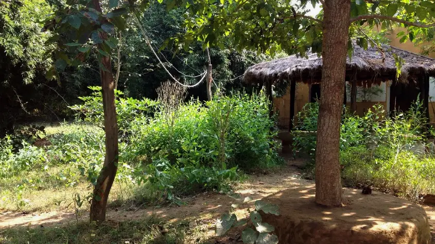 Pugmark Resort Kanha