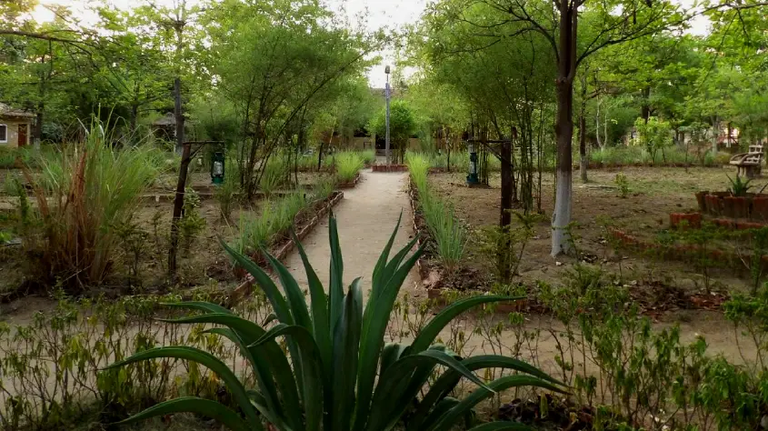 Pugmark Resort Kanha