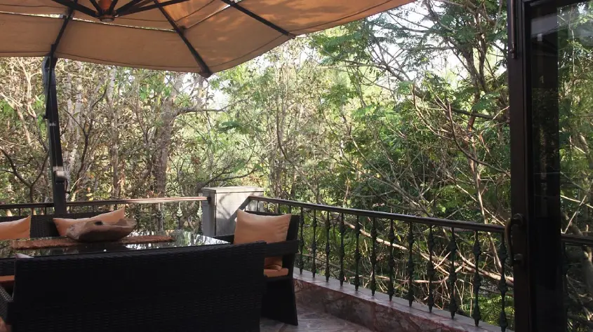 Singinawa Jungle Lodge