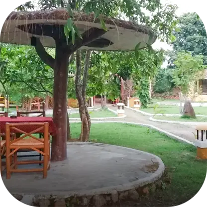 The Taal Tiger Retreat