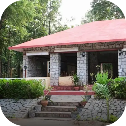 The Wild Chalet Resort