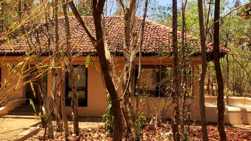 Tuli Tiger Corridor 