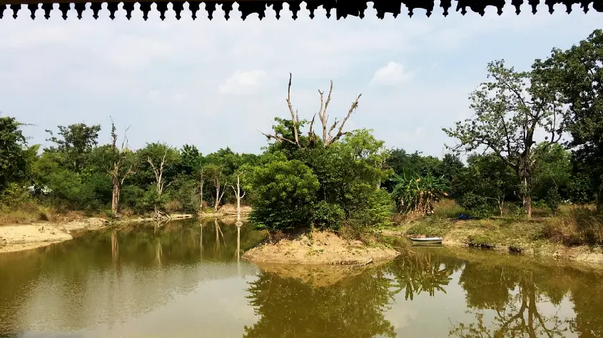 Tuli Tiger Corridor 