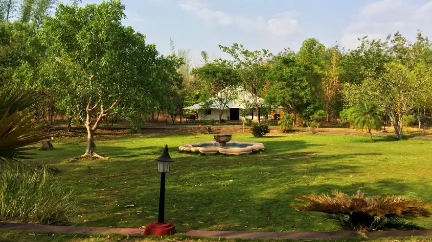 Tuli Tiger Corridor 