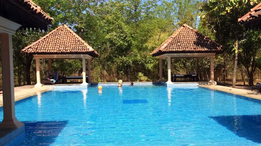 Tuli Tiger Corridor 