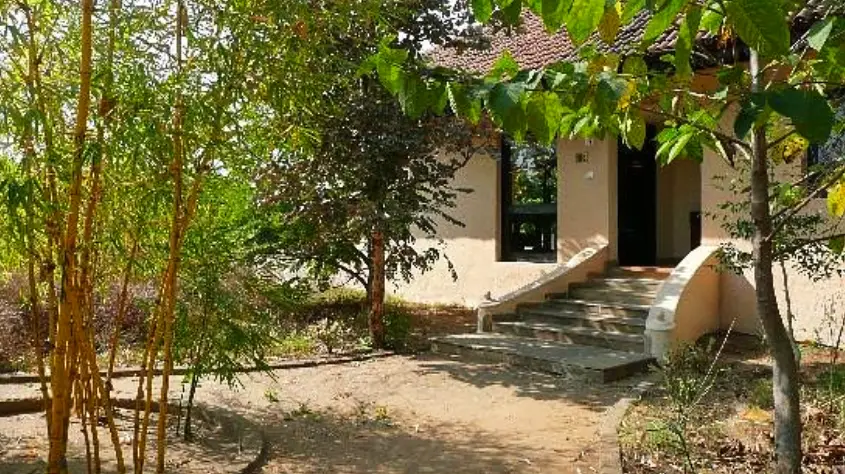 Tuli Tiger Corridor 