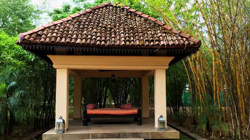 Tuli Tiger Corridor 