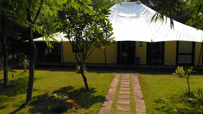 Tuli Tiger Corridor 