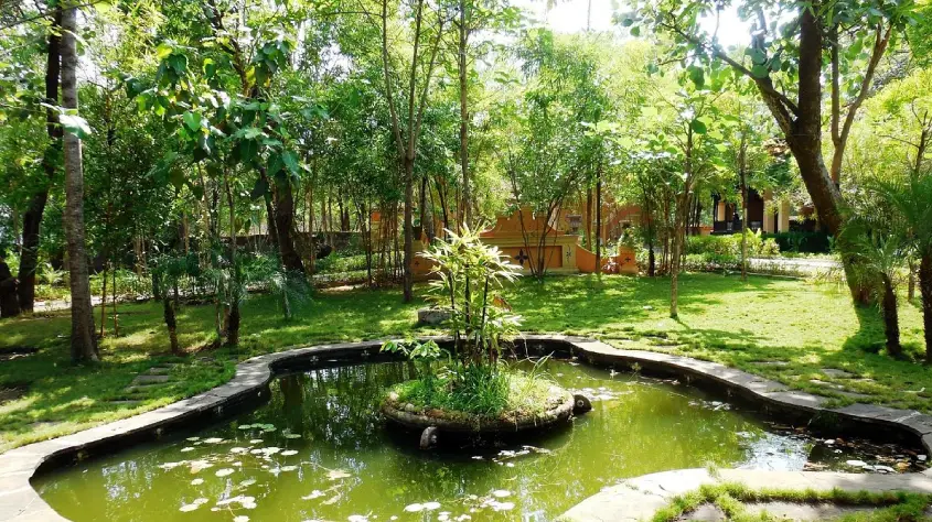 Tuli Tiger Resort