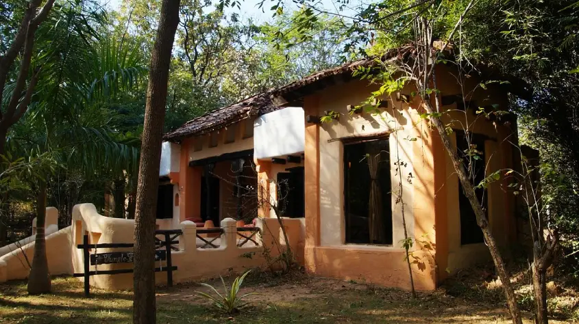 Tuli Tiger Resort
