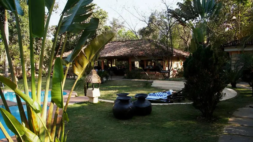 Tuli Tiger Resort