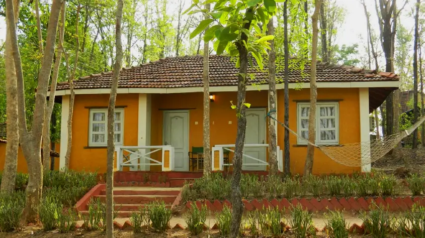 Wild Chalet Resort
