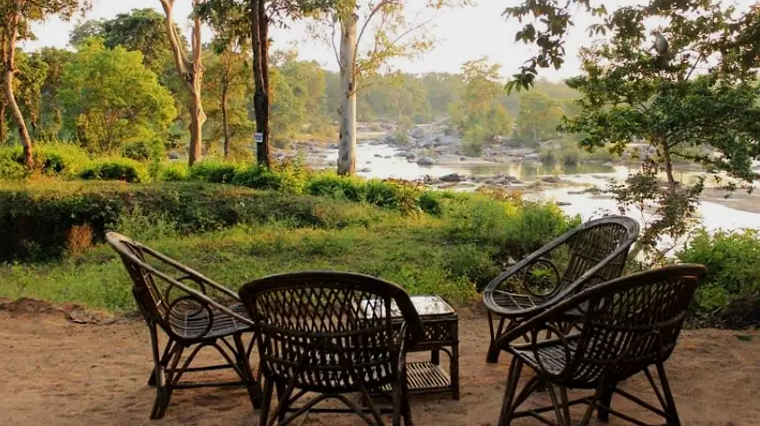 Wild Chalet Resort