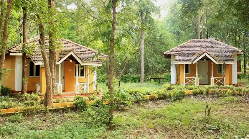 Wild Chalet Resort