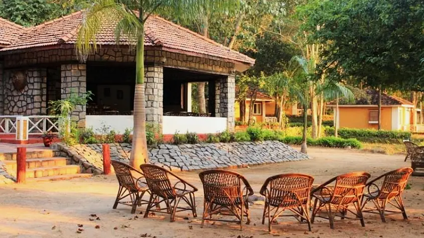 Wild Chalet Resort