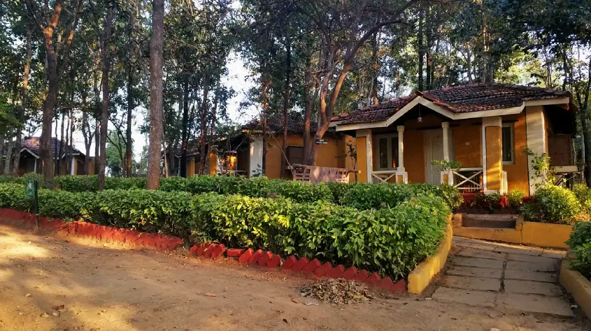 Wild Chalet Resort