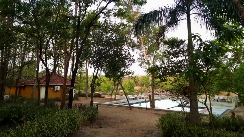 Wild Chalet Resort