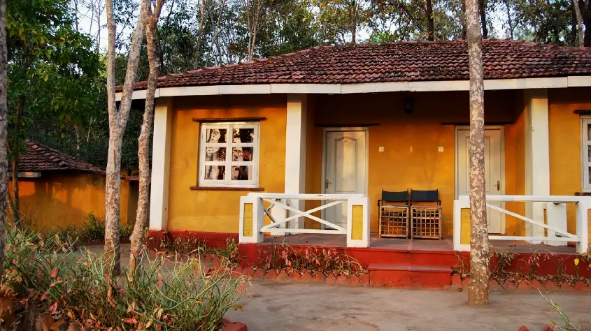 Wild Chalet Resort