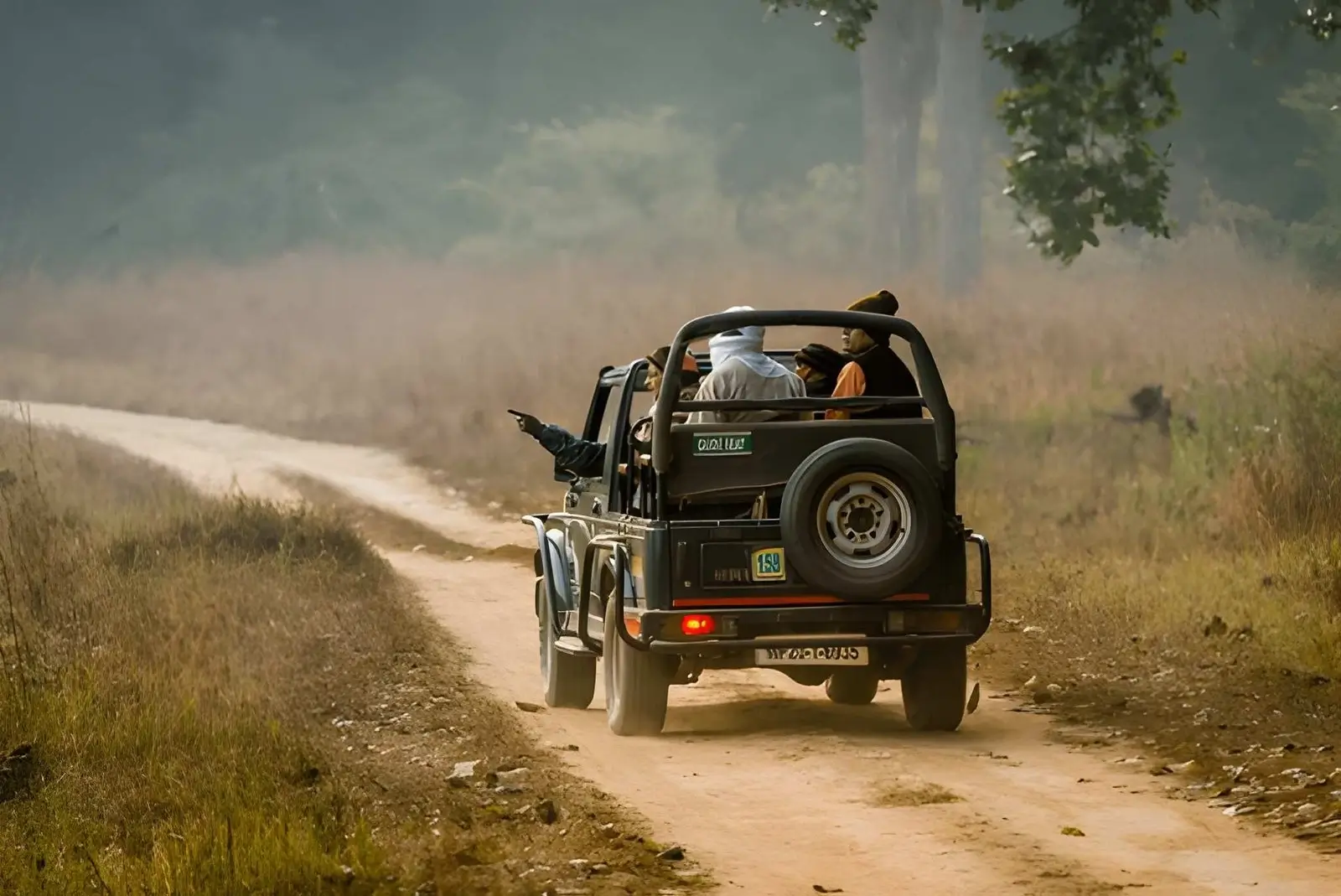 Jeep Safari in Kanha