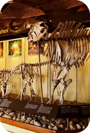 Best Time to Visit Kanha National Park