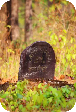 Best Time to Visit Kanha National Park