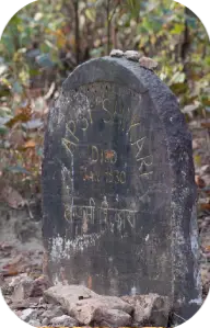 Best Time to Visit Kanha National Park