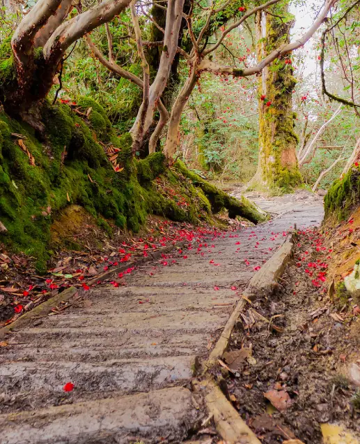 National Parks in India