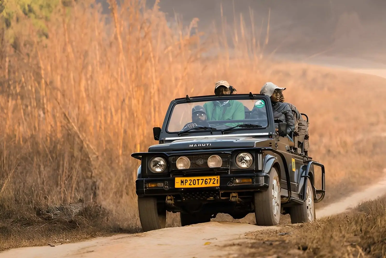 Safari Timings in Kanha National Park