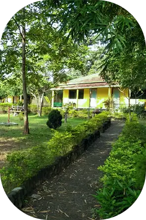 Best Hotels & Resorts in Kanha