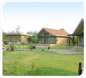 celebration van villas kanha