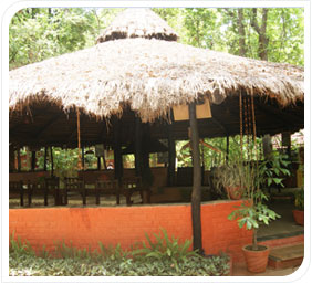 kanha jungle lodge